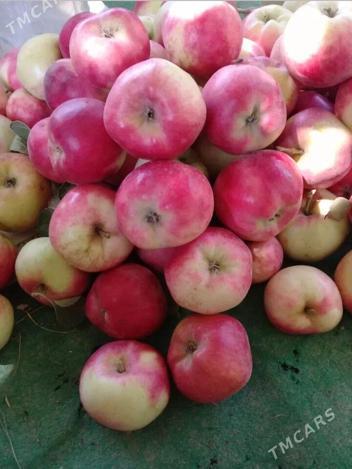 miweli sapma nahal bag - Türkmenabat - img 3