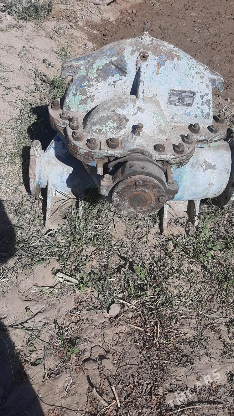 nasos - Mary - img 4