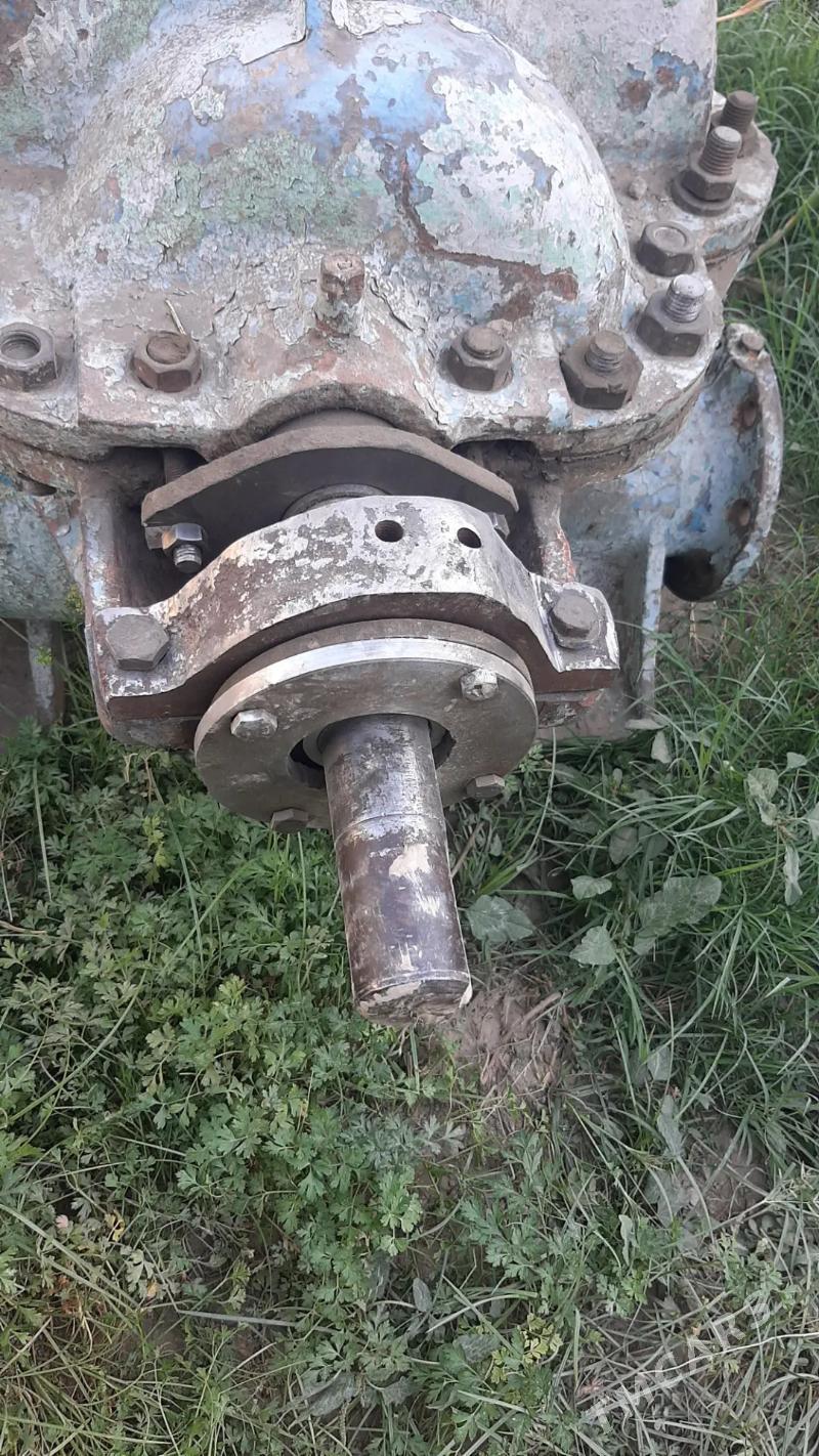 nasos - Mary - img 3