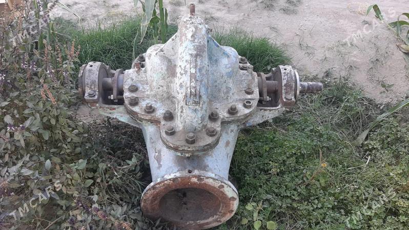 nasos - Mary - img 2