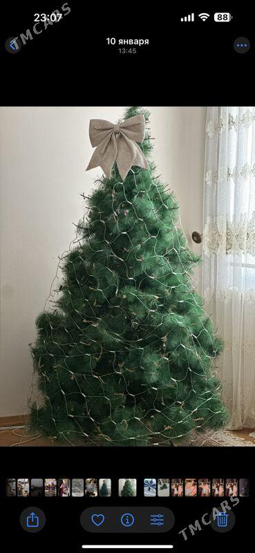 Täze ýyl ýolkasy. - ул. Московская (10 йыл абаданчылык ш.) - img 2