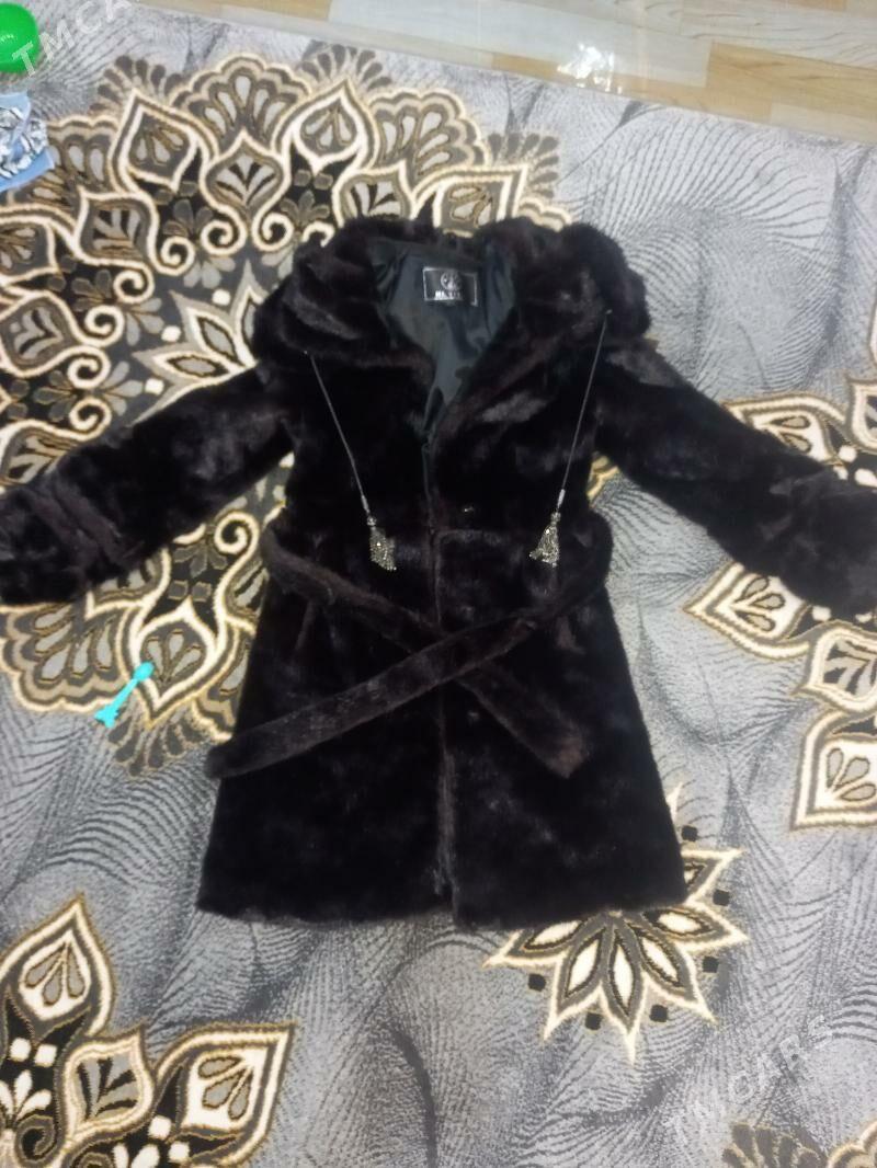 Şuba - Туркменбаши - img 2