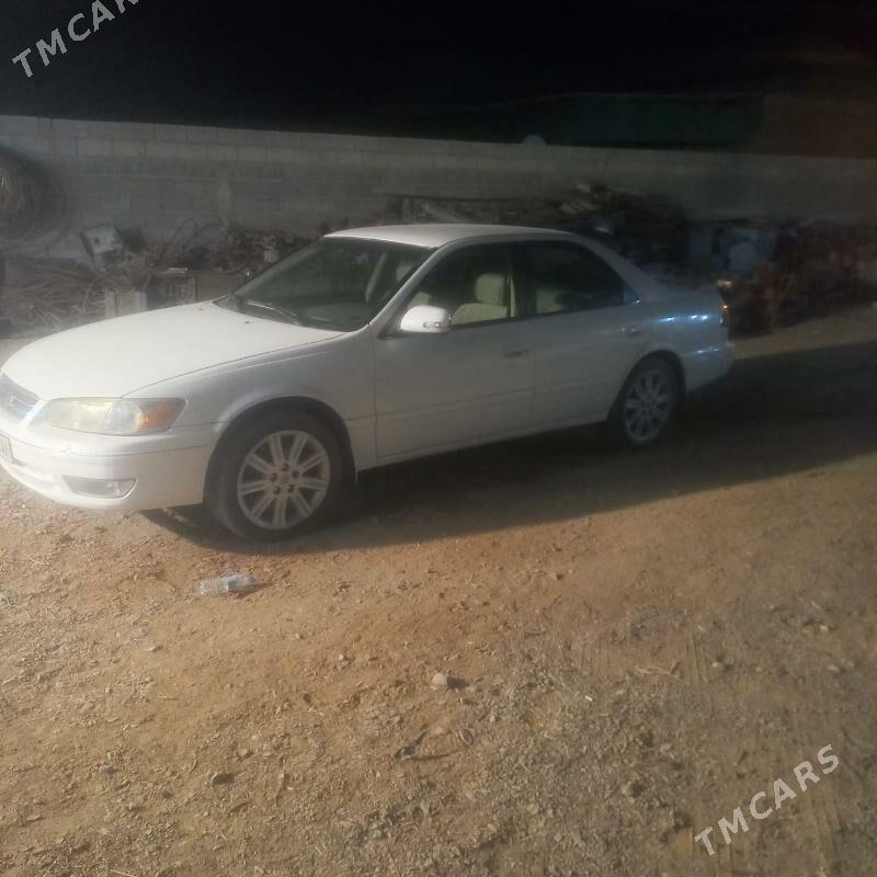 Toyota Camry 2001 - 125 000 TMT - Бахарден - img 3
