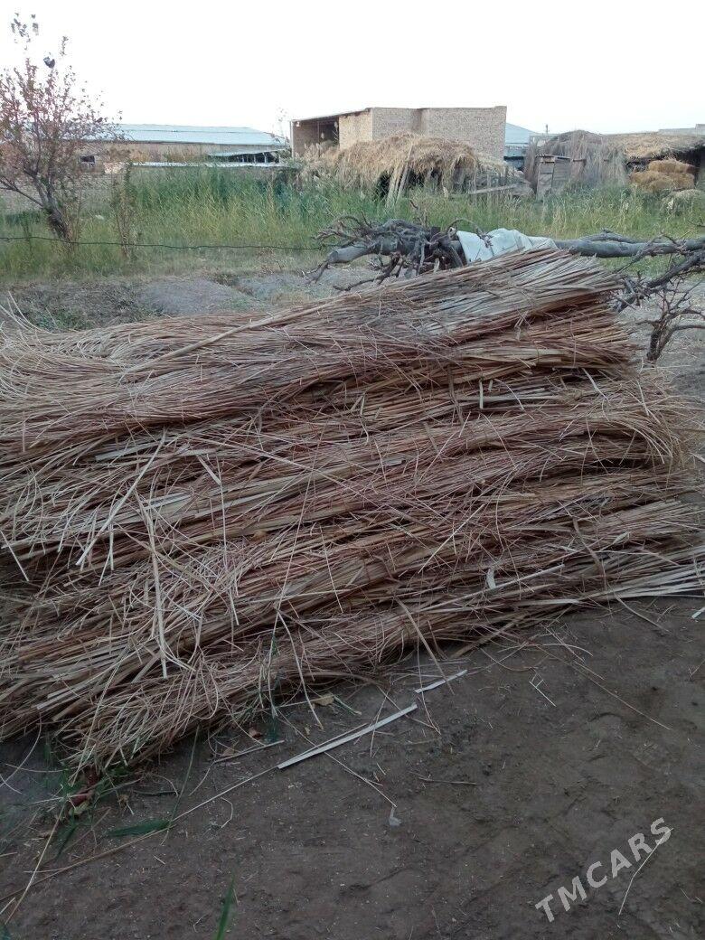 jayıň üstüne - Dänew - img 2