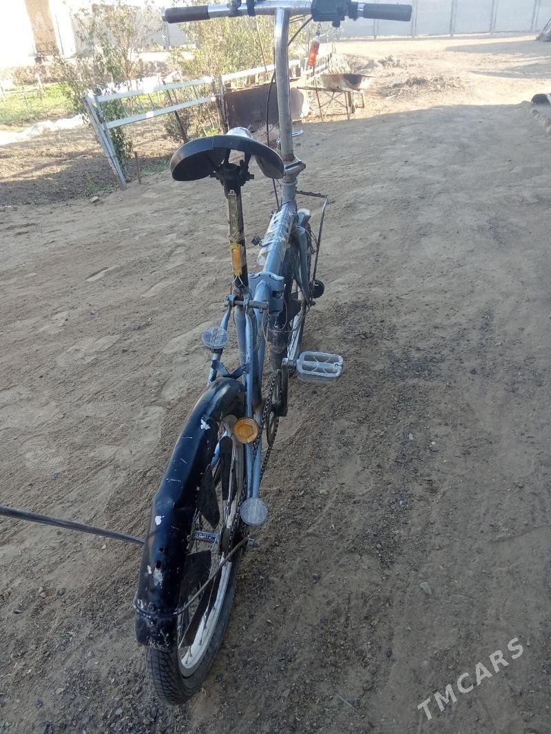 welesepet - Mary - img 2