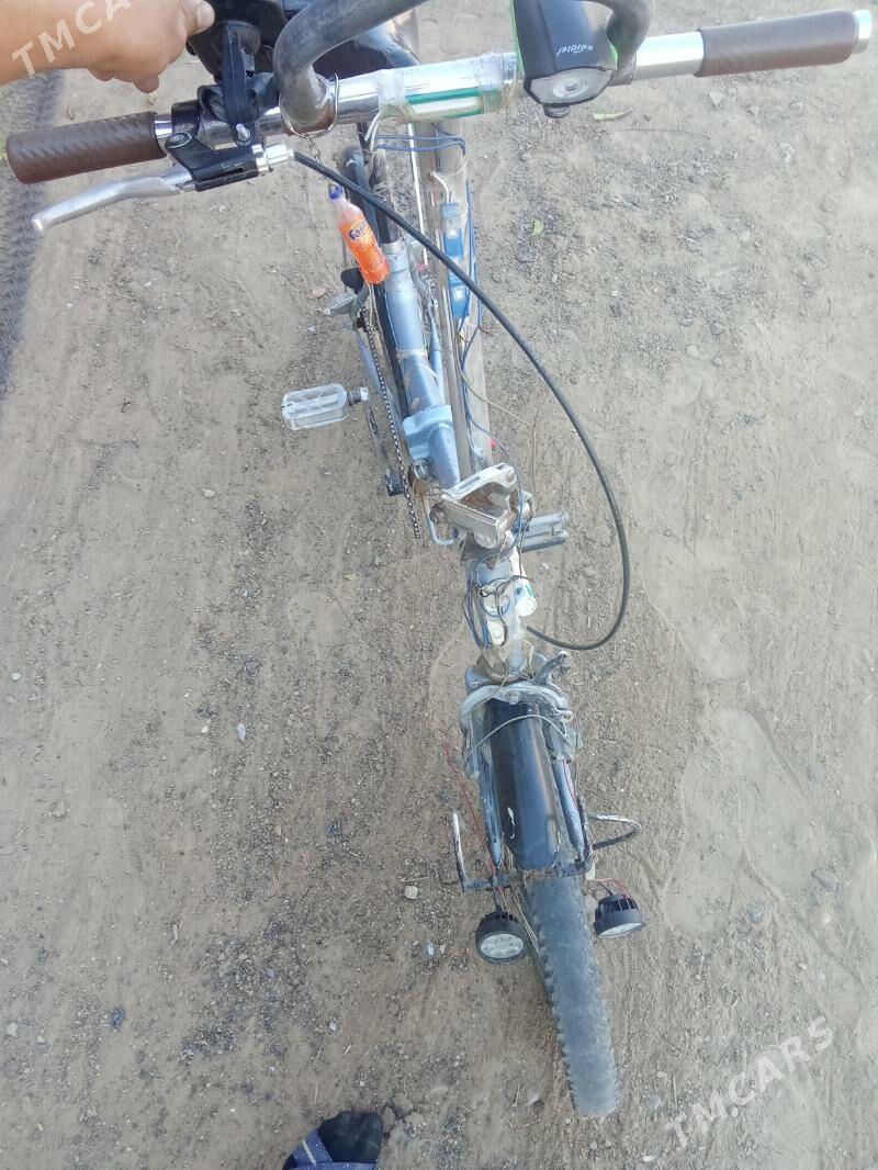 welesepet - Mary - img 3