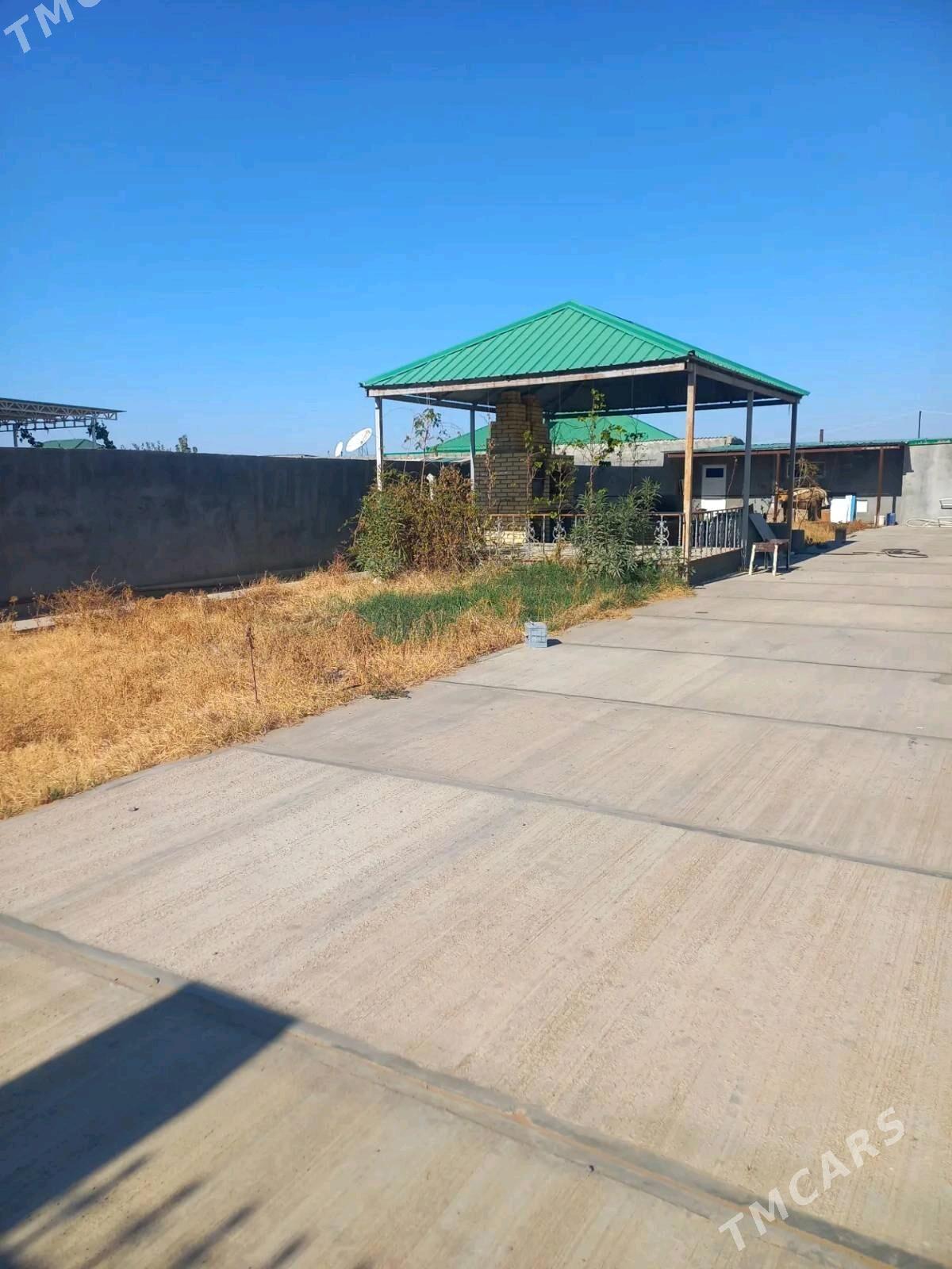 Plan jay Onaldy - Ak bugdaý etraby - img 5