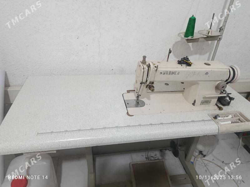 Jukky - Köneürgenç - img 2