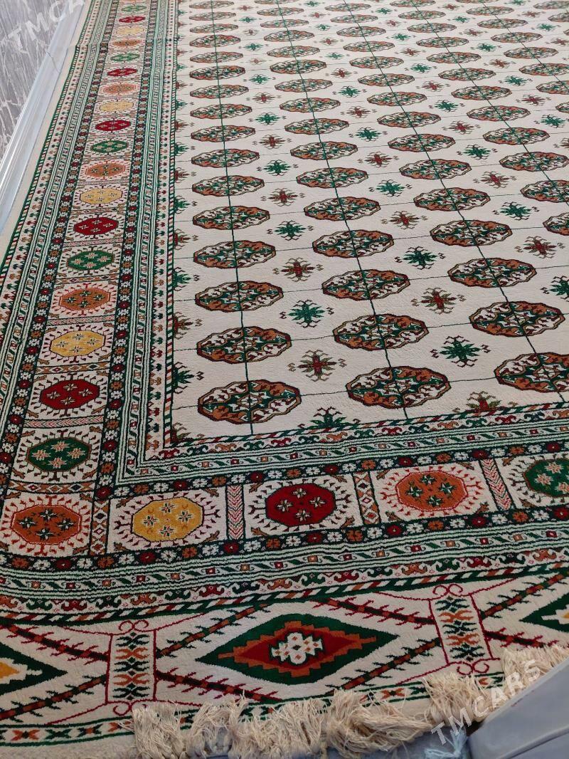 Haly tùrkin̈ ÿùn̈ halysy - Gagarin köç, köne Howa menzili - img 3