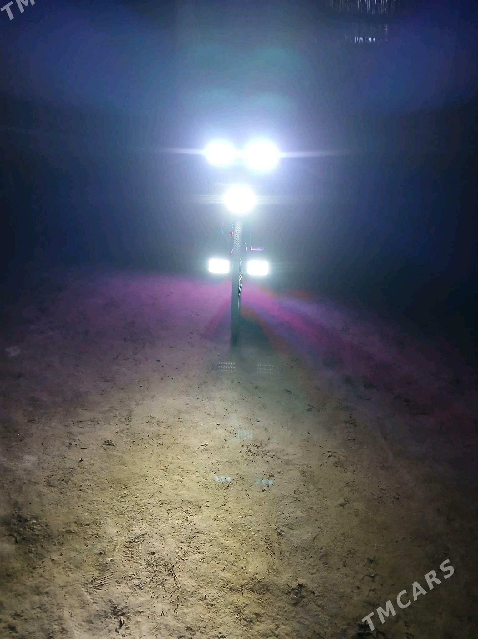 tigr - Köneürgenç - img 3