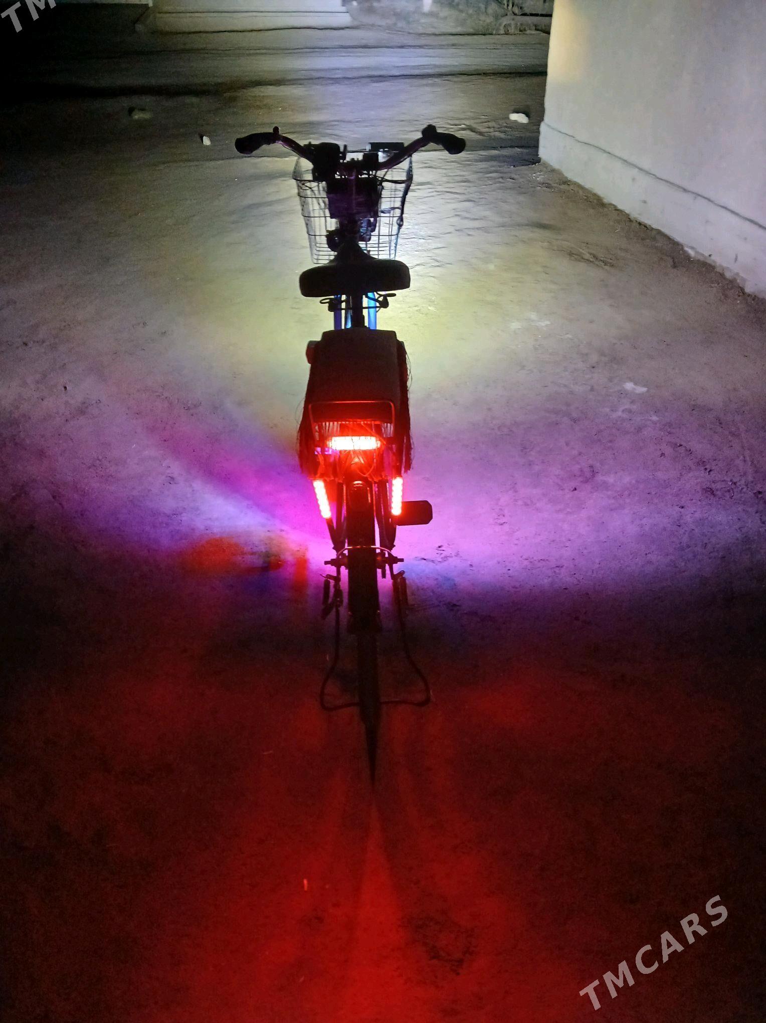 tigr - Köneürgenç - img 4