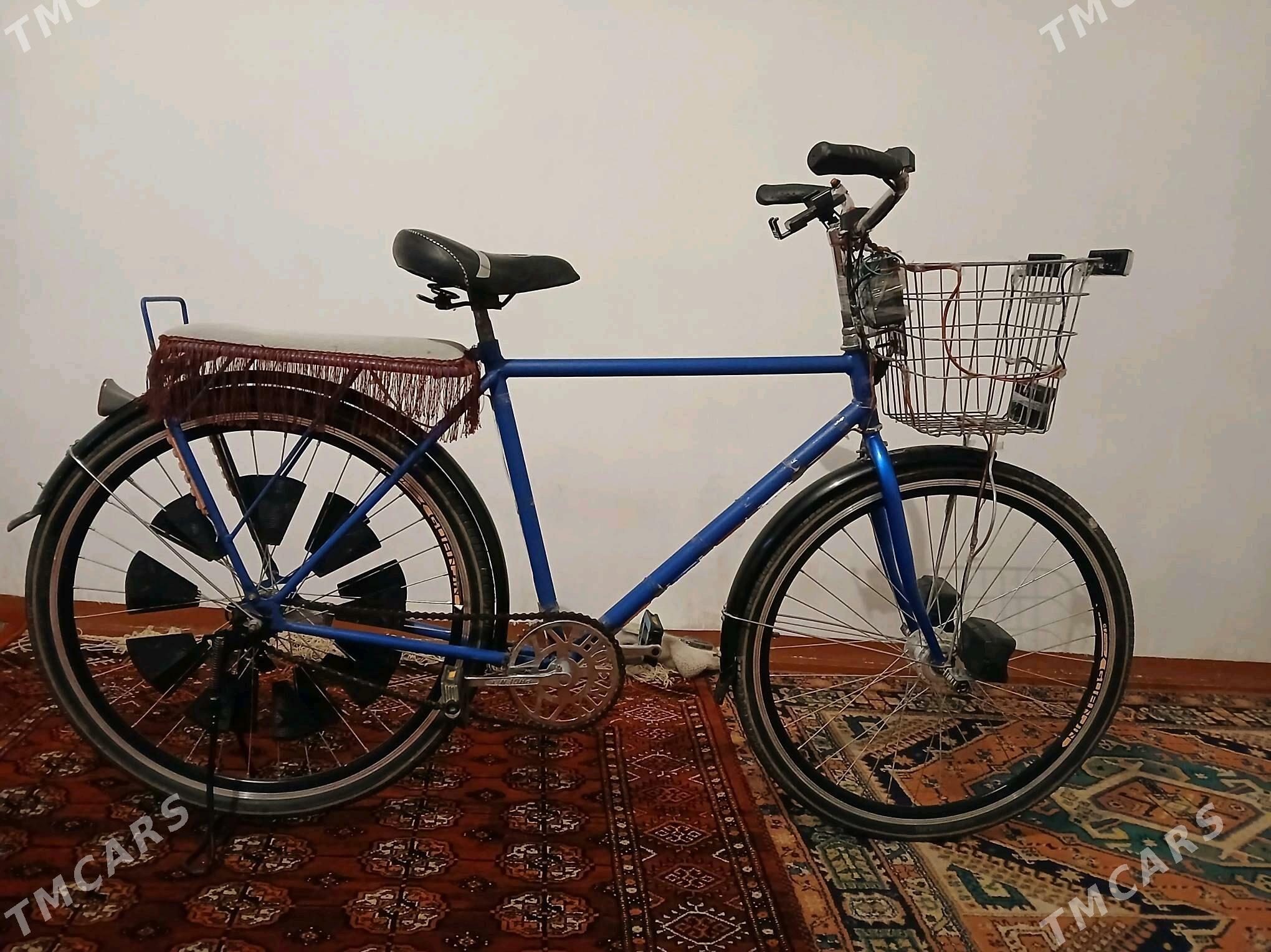 tigr - Köneürgenç - img 5