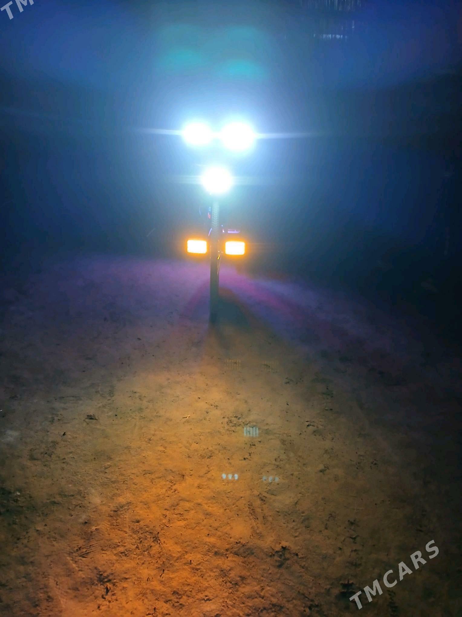 tigr - Köneürgenç - img 2