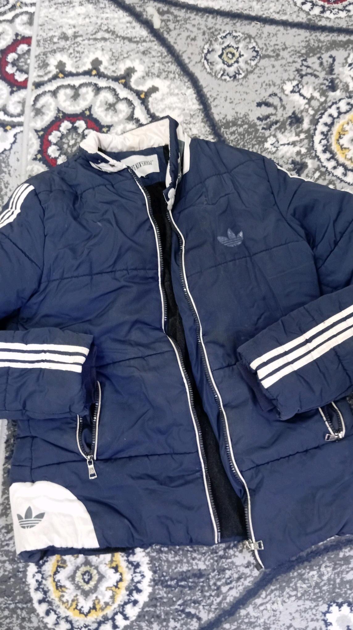 palto kosdyum koynekler - Daşoguz - img 4