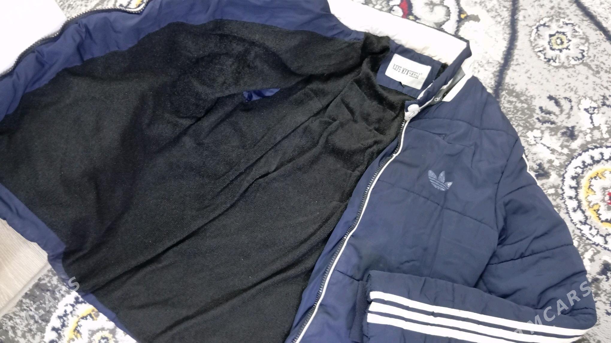 palto kosdyum koynekler - Daşoguz - img 5