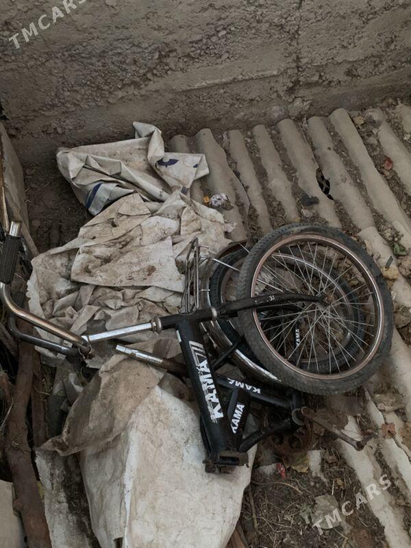 Kama tigir - Köşi - img 2