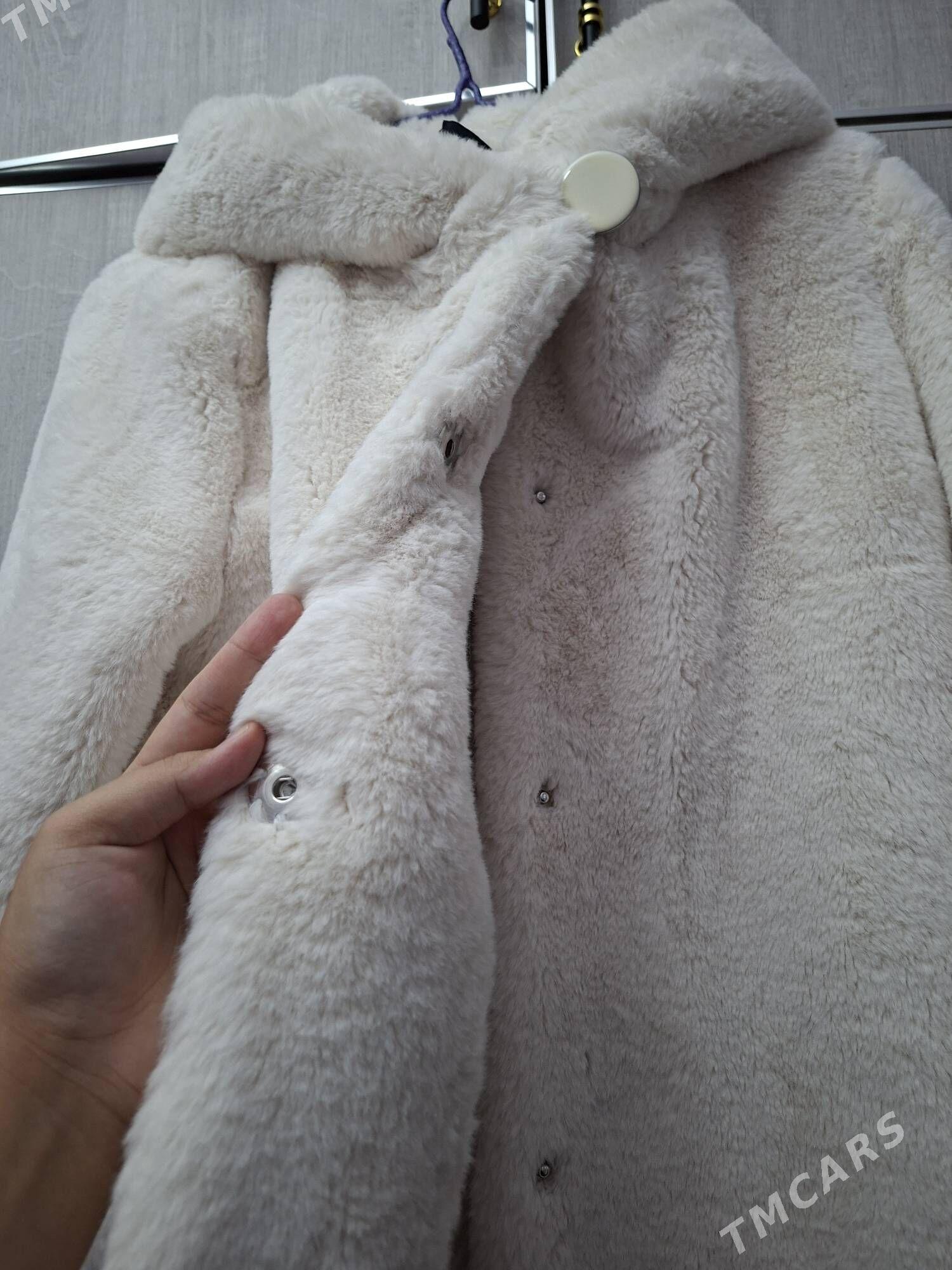 Șuba Arassaja - Büzmeýin - img 2