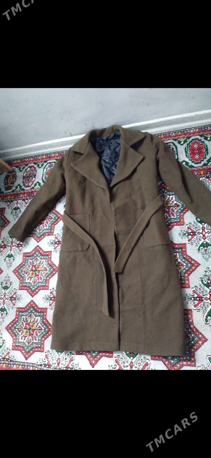 PALTO - Daşoguz - img 2