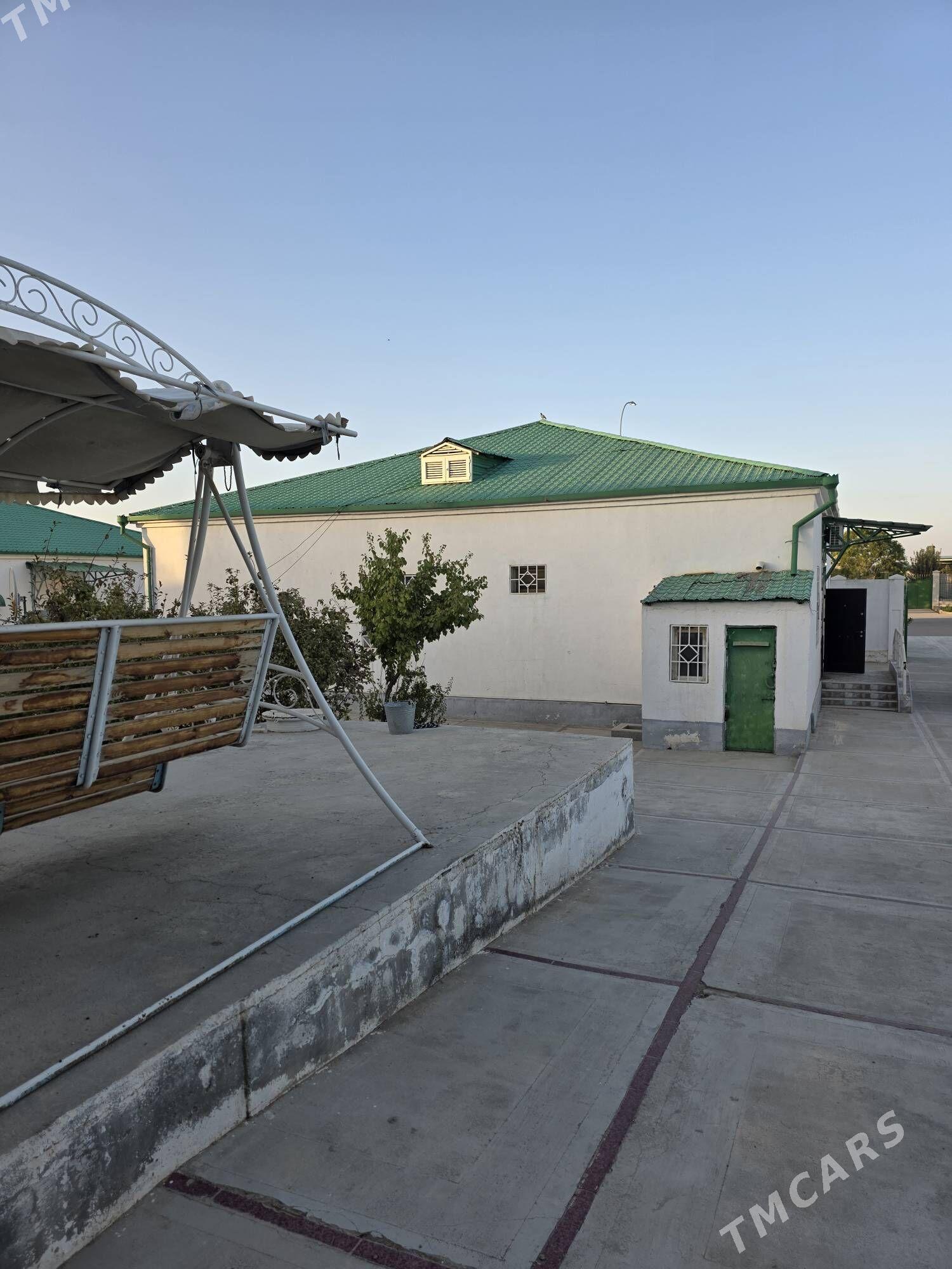 Bereketli zaman - Ak bugdaý etraby - img 7