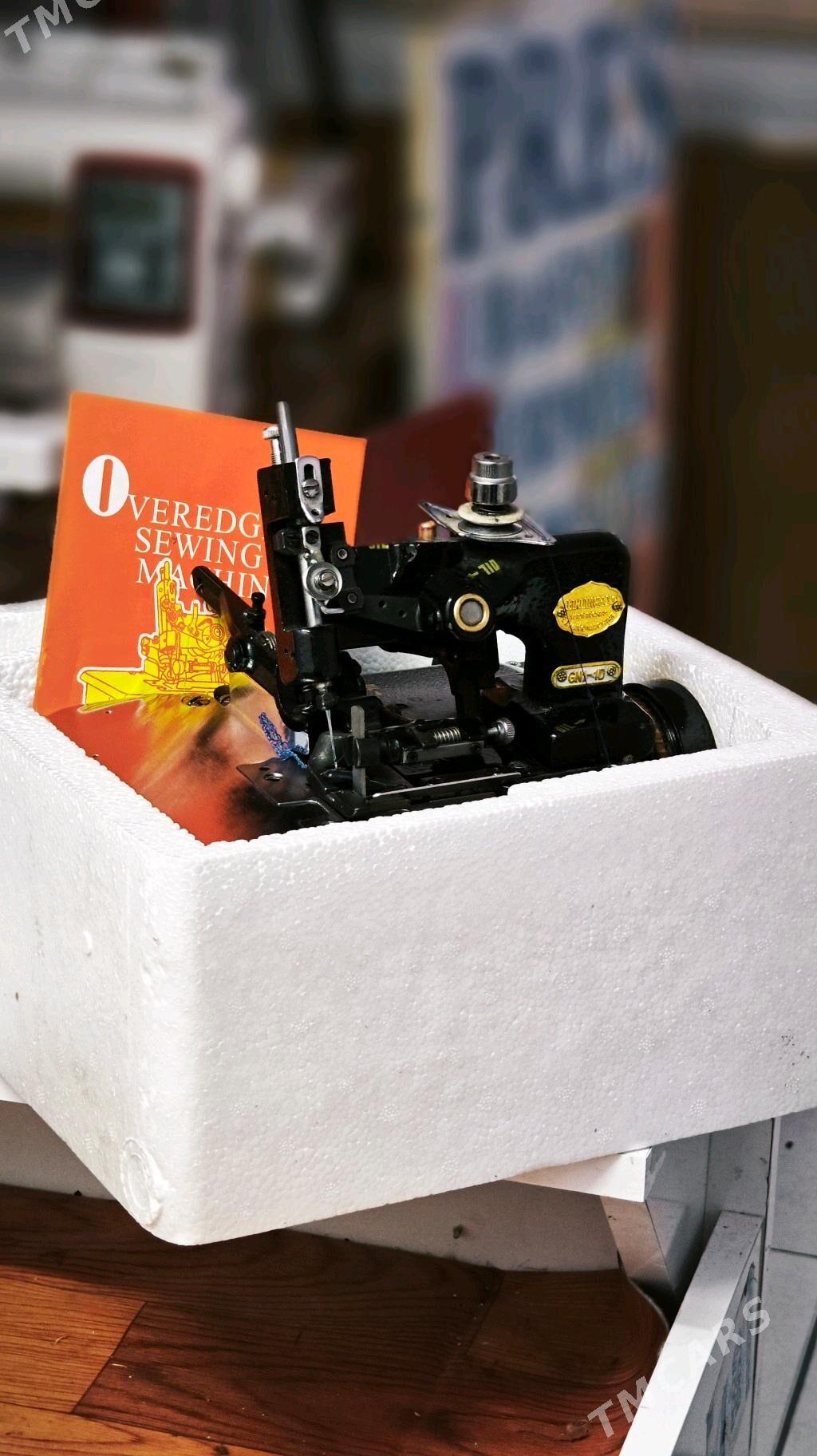 Awerlok - Mary - img 2