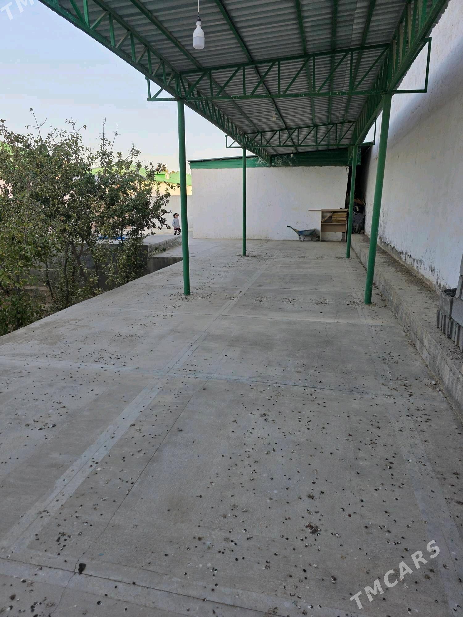 Bereketli zaman - Ak bugdaý etraby - img 6