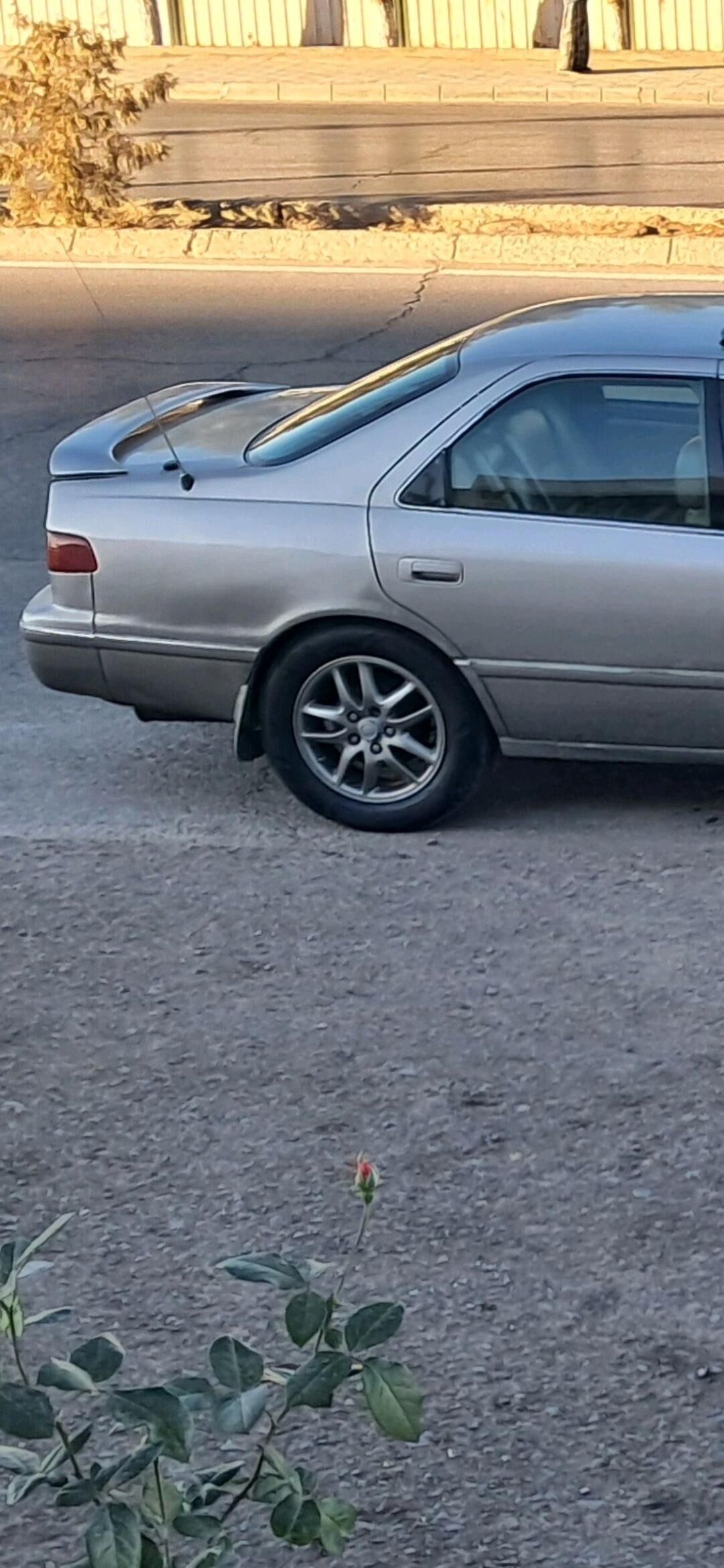 Grand Babycka Diska Argent sep 7 000 TMT - Туркменабат - img 2