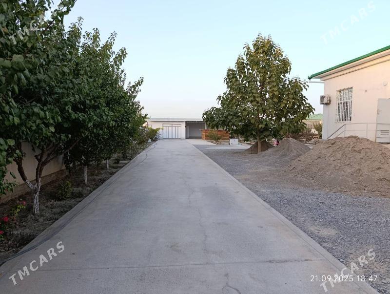 Gökdepe Şorgala - Gökdepe - img 4