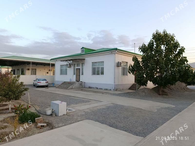 Gökdepe Şorgala - Gökdepe - img 5