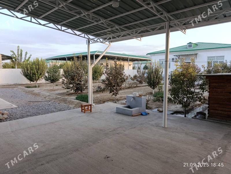 Gökdepe Şorgala - Gökdepe - img 3