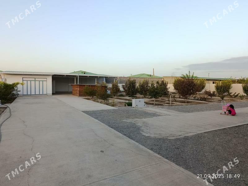 Gökdepe Şorgala - Gökdepe - img 2