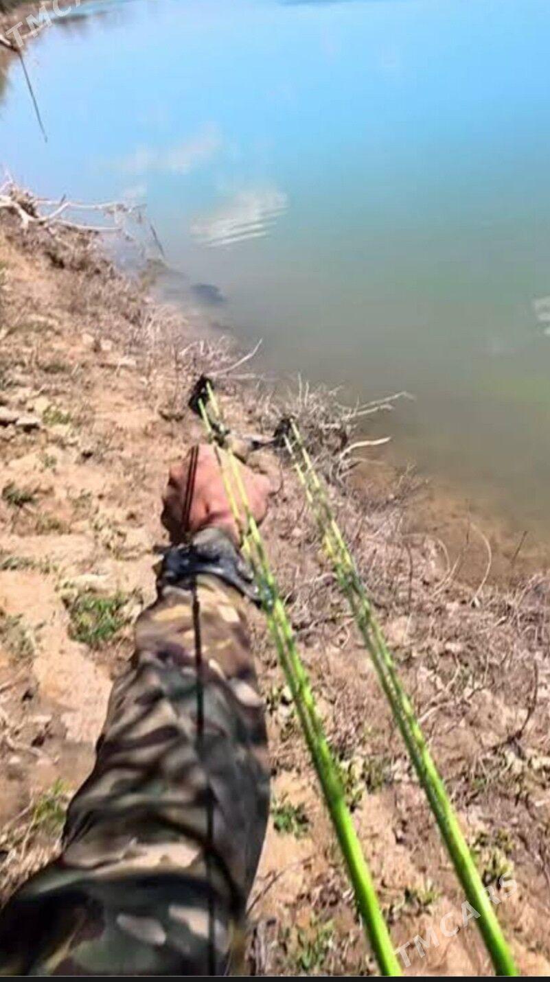 Balyk tor - Фарап - img 4