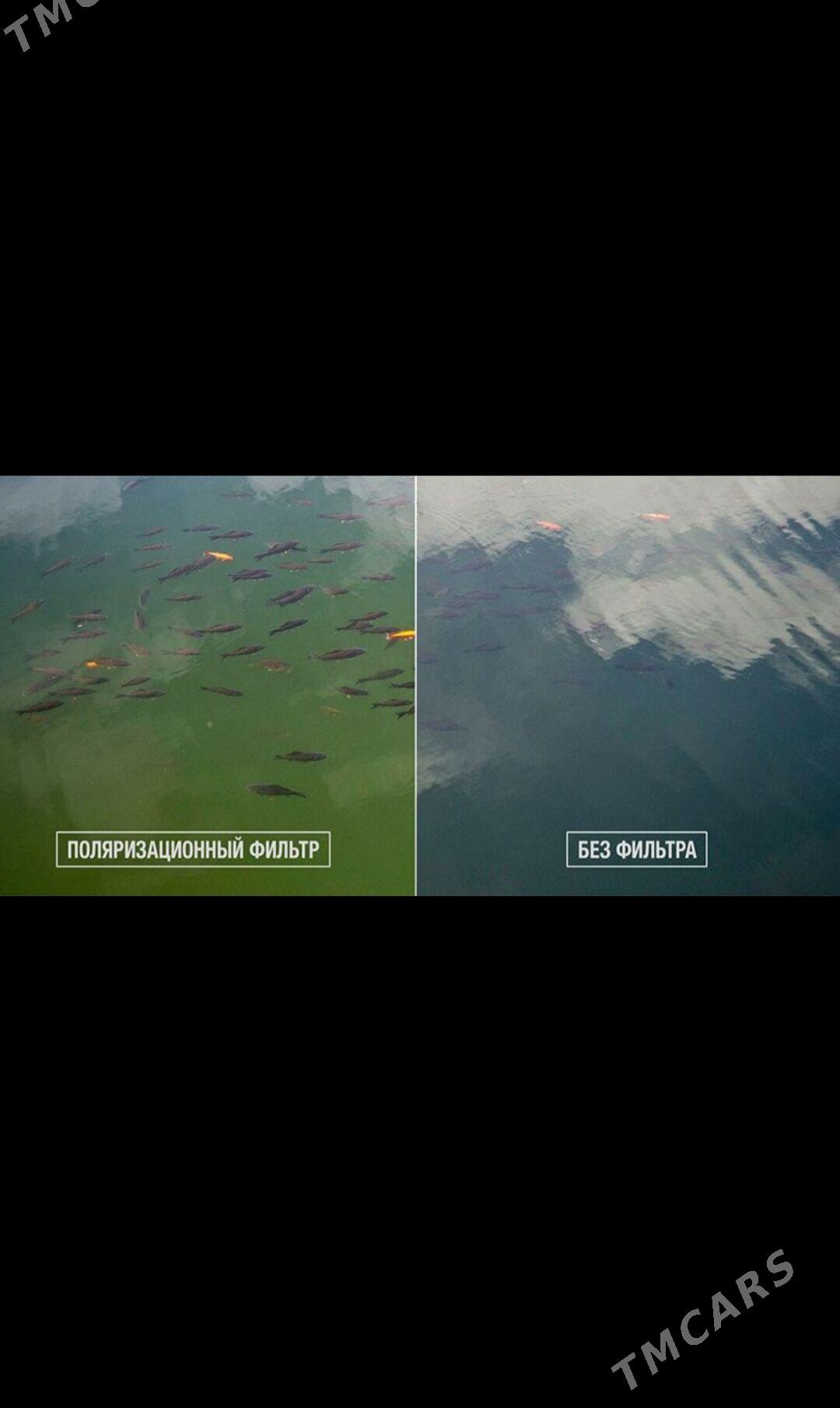 Balyk tor - Фарап - img 8