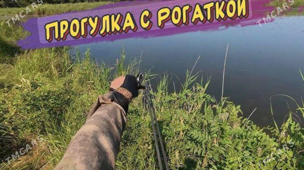 Balyk tor - Фарап - img 7