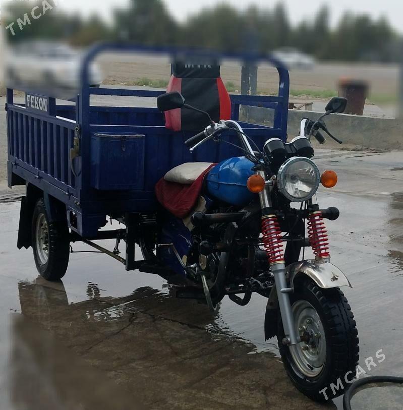 Fekon FK200-14G 2015 - 26 000 TMT - Bäherden - img 2