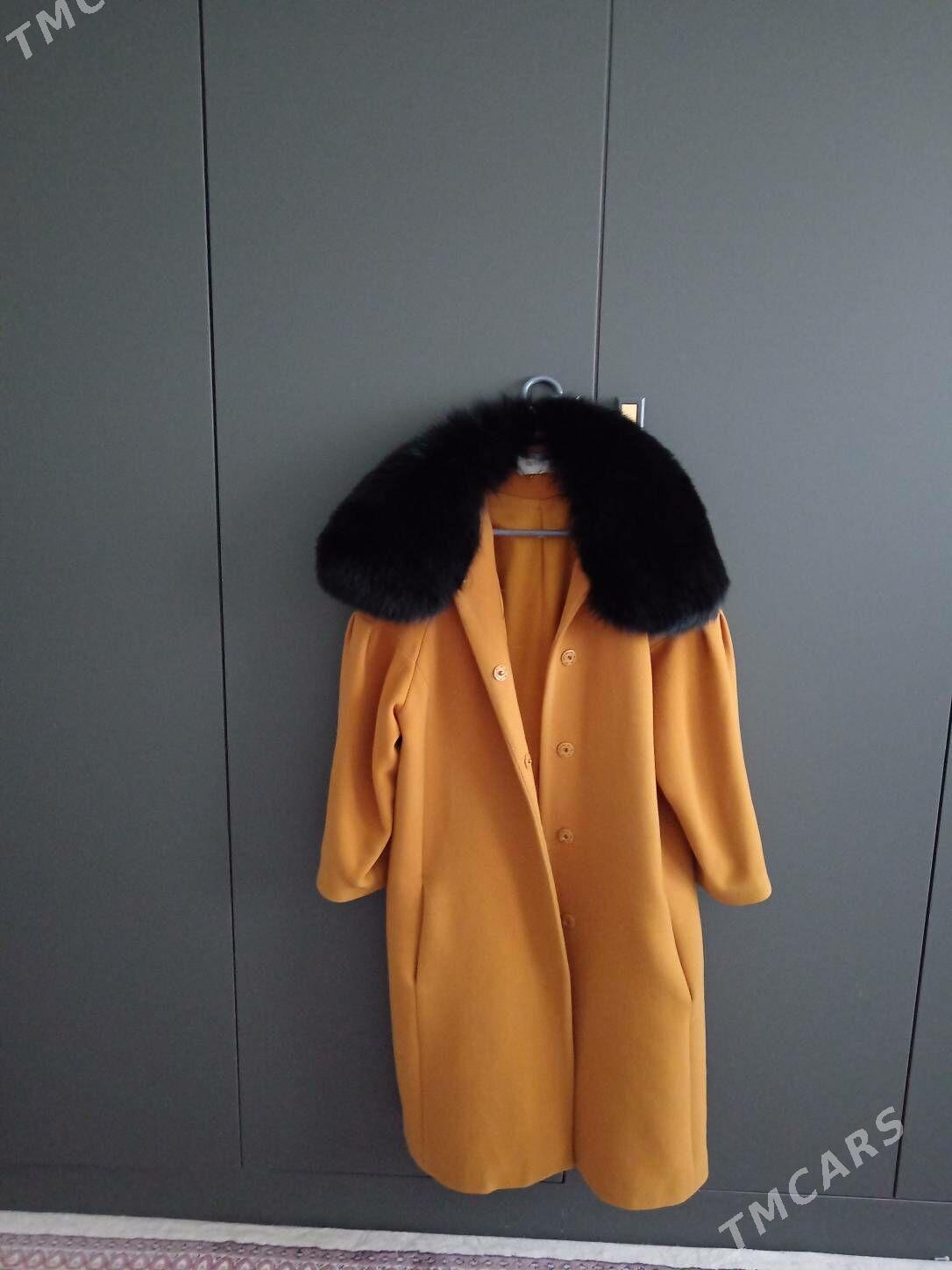 Gysky egin - esik - Balkanabat - img 9