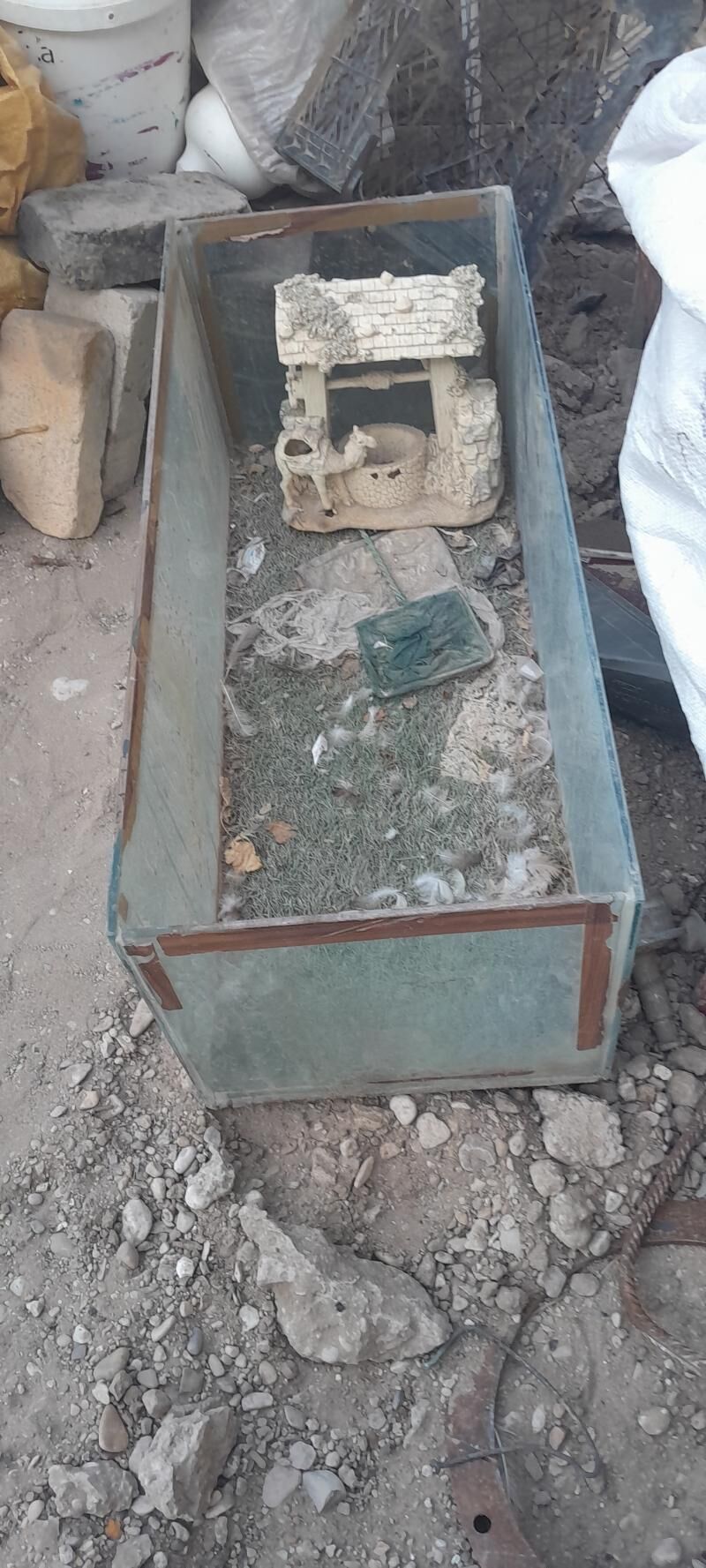 Akwarym - Балканабат - img 1