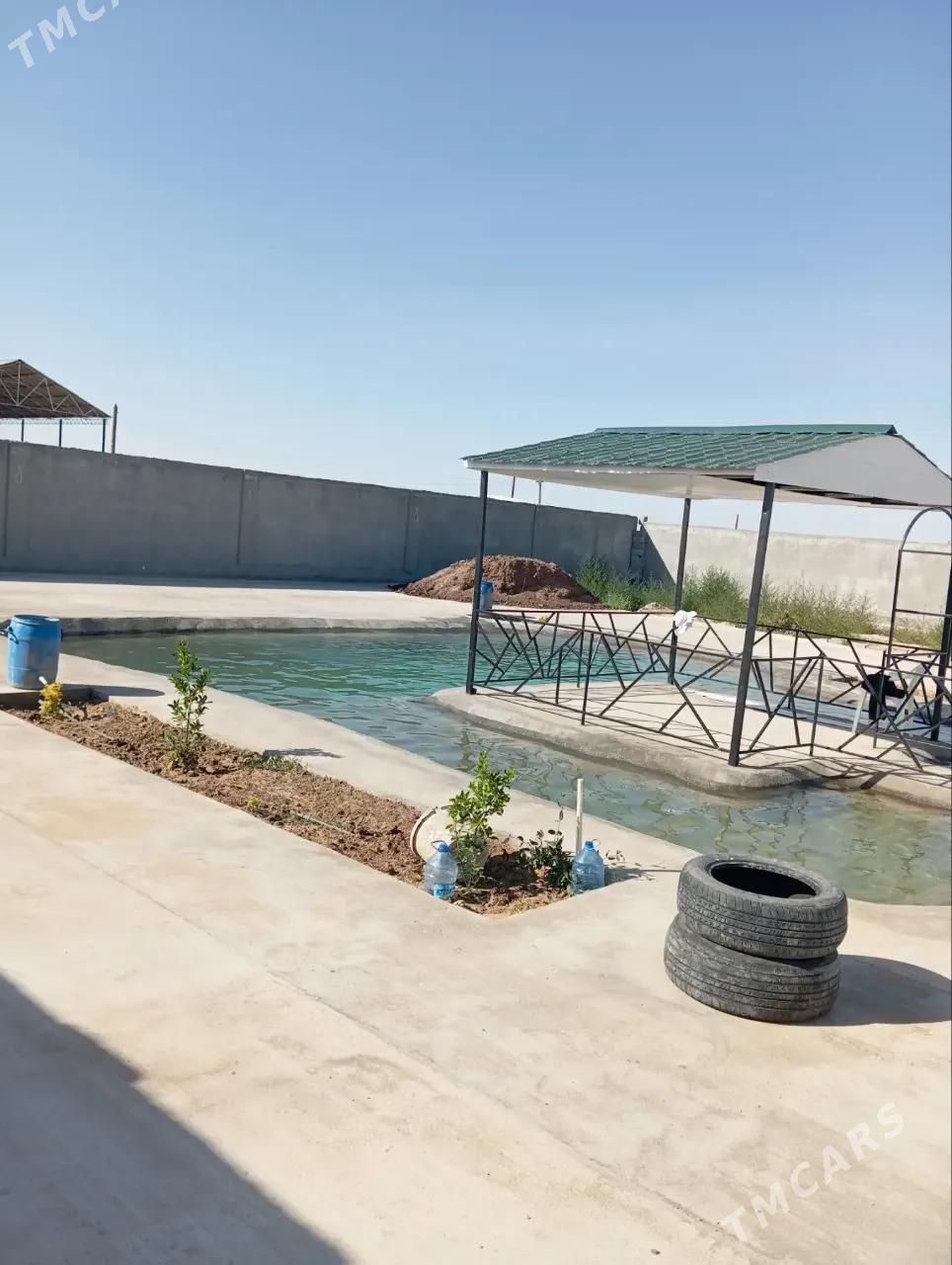 Jaý - Änew - img 4