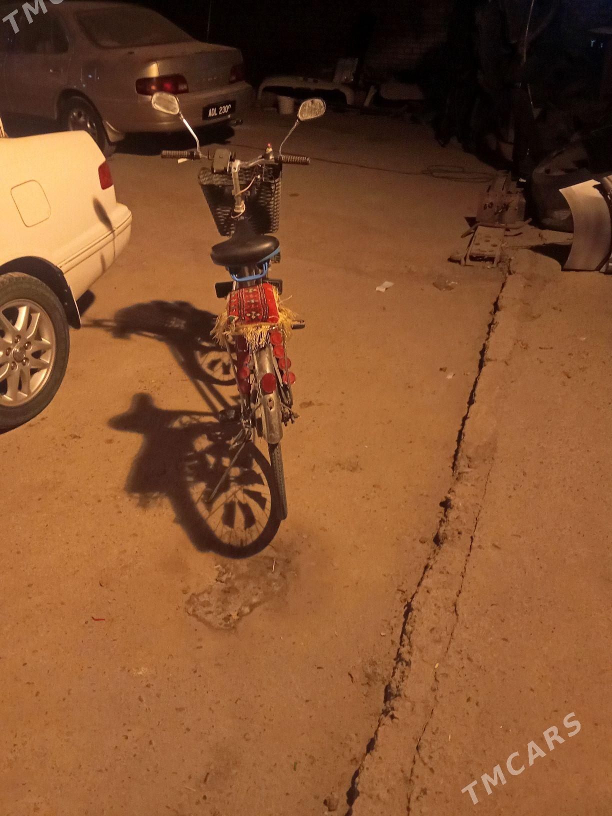 Welosapet - Mary - img 3