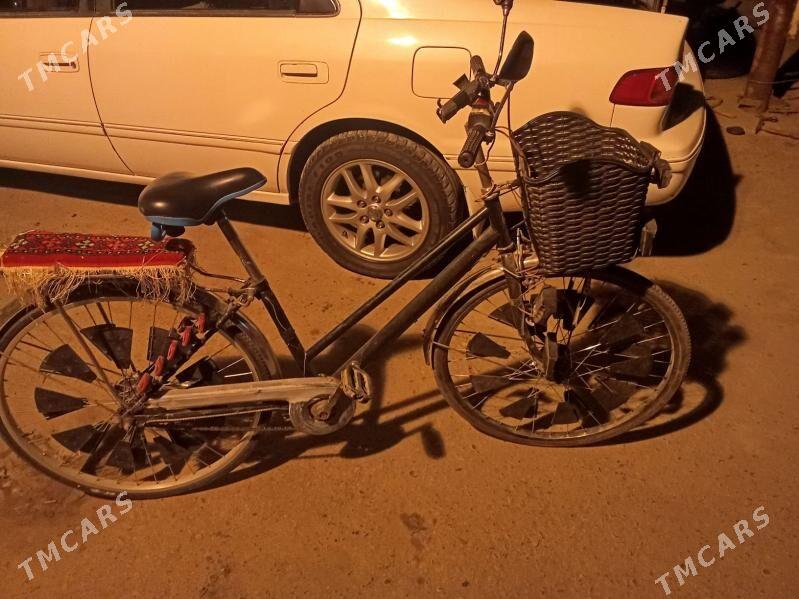 Welosapet - Mary - img 2