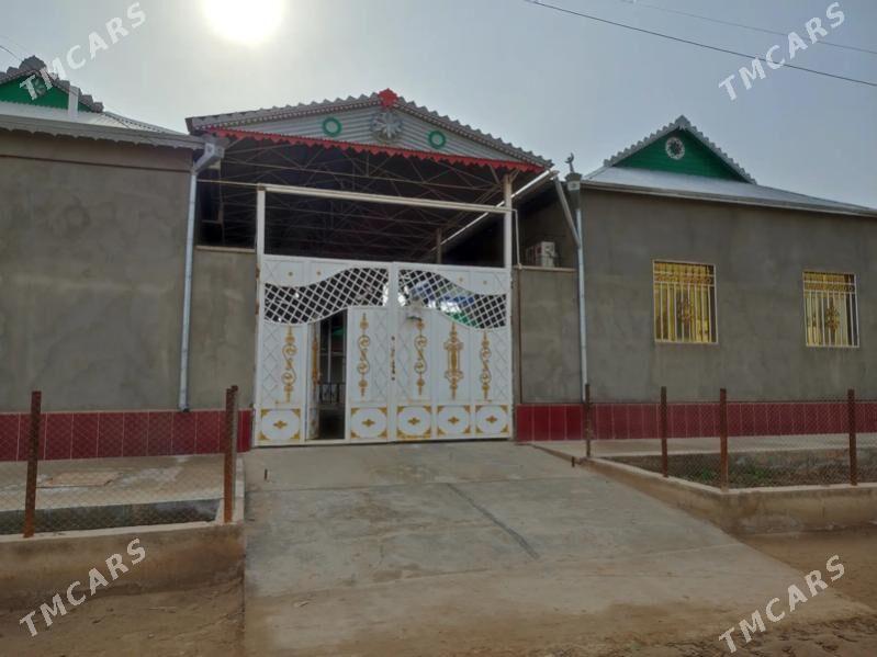 Tejen Wsoki - Теджен - img 4