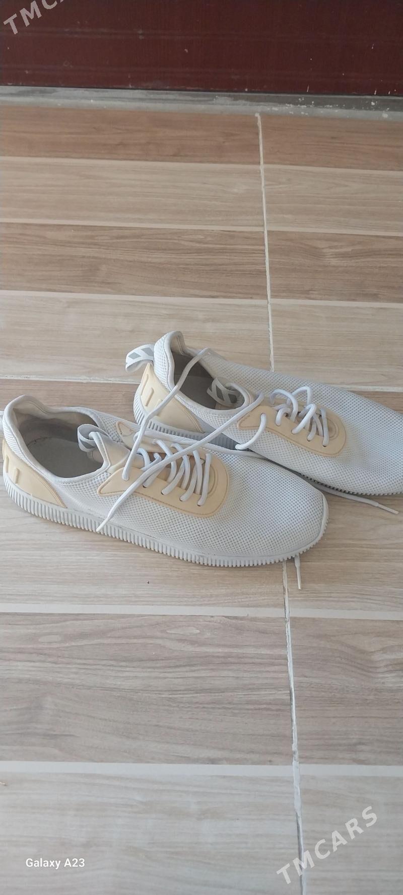 krasofka murskoy - Daşoguz - img 2