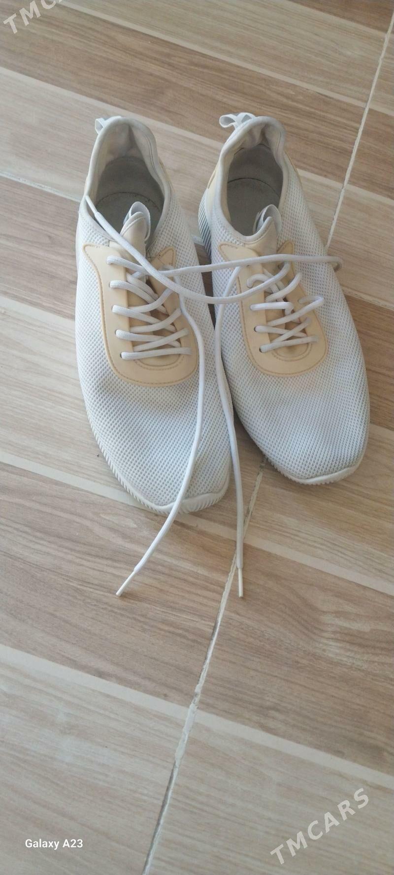 krasofka murskoy - Daşoguz - img 1