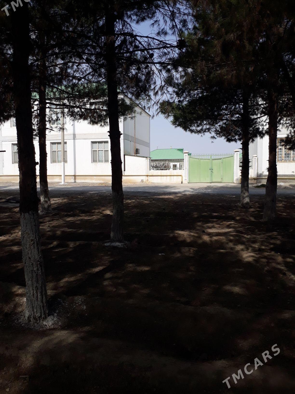 GÖKDEPE SATLYK KATEŽ - Gökdepe - img 2