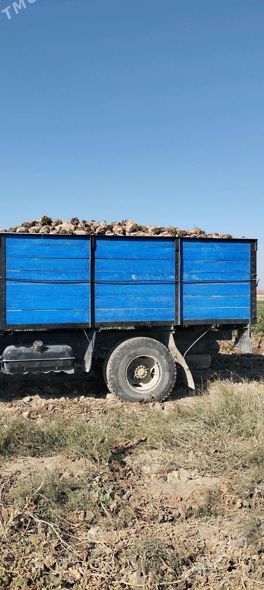 şygunnur - Bäherden - img 1