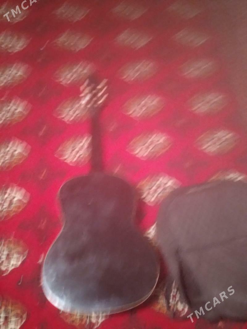gitara - Saýat - img 2
