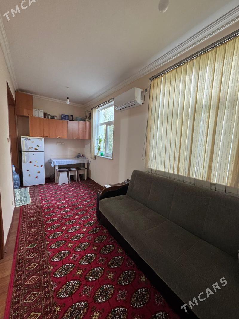 Кемине 3ком гауданка - Ашхабад - img 3