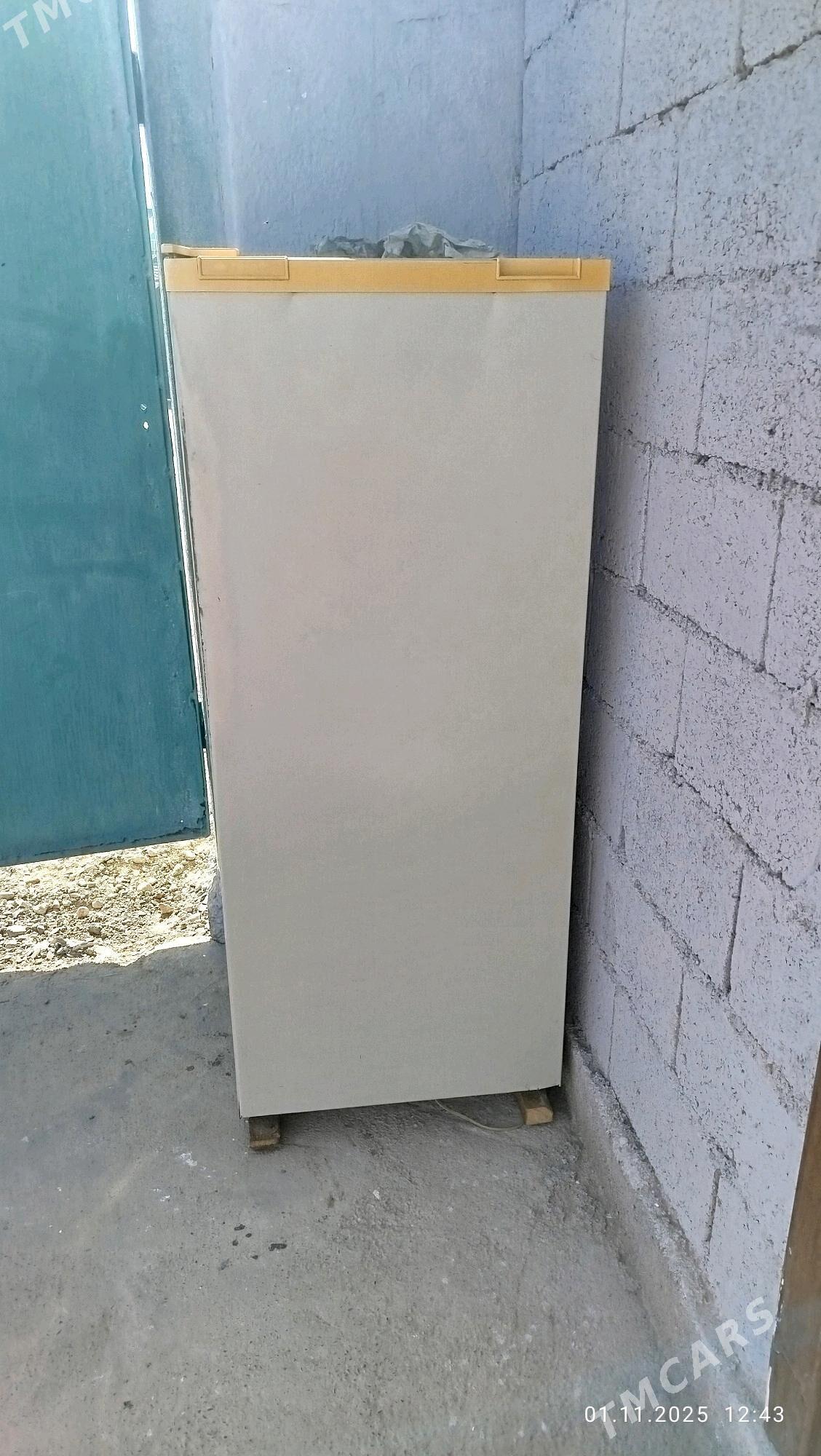 Holedinnik - Анев - img 1