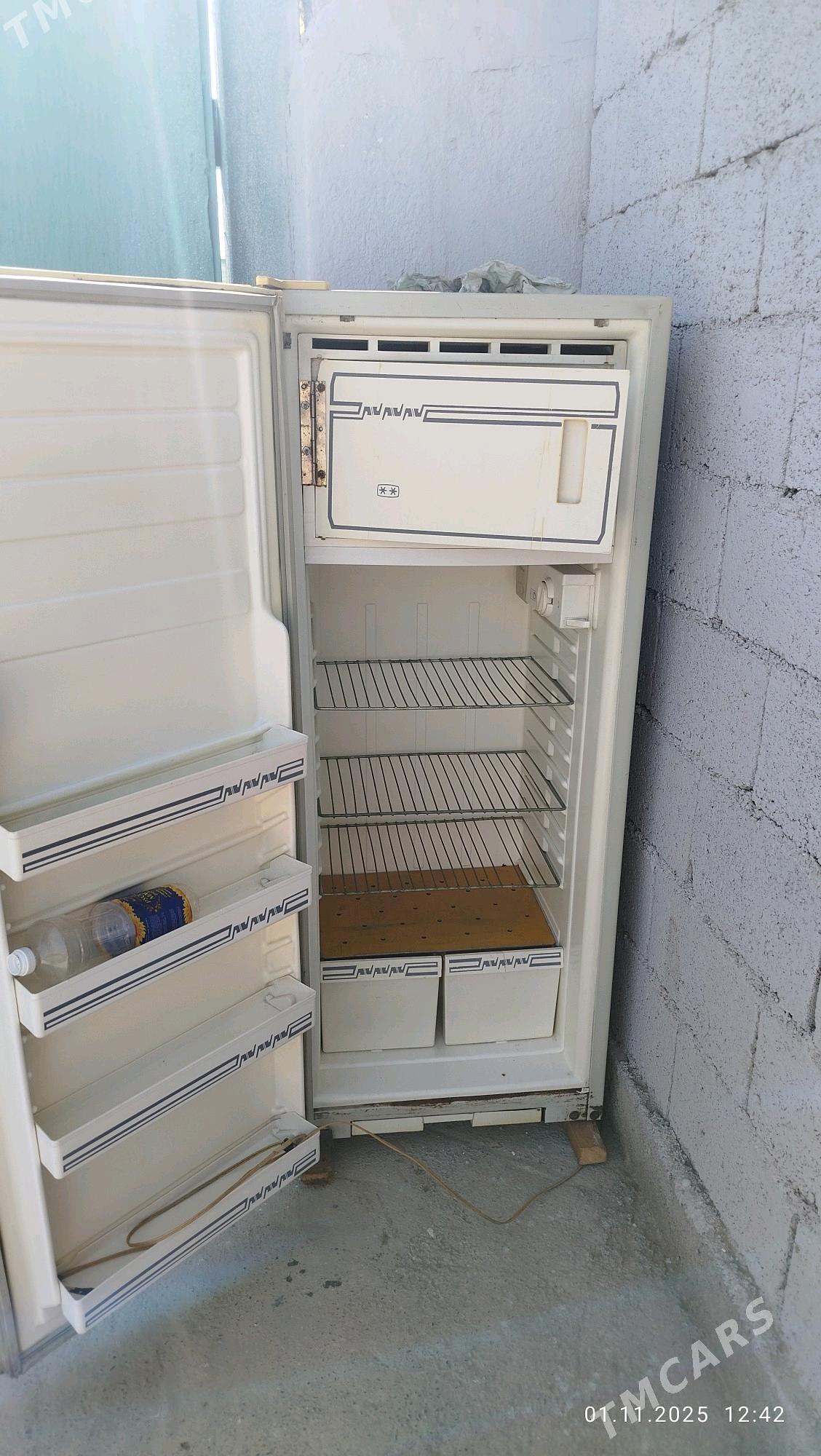 Holedinnik - Анев - img 3