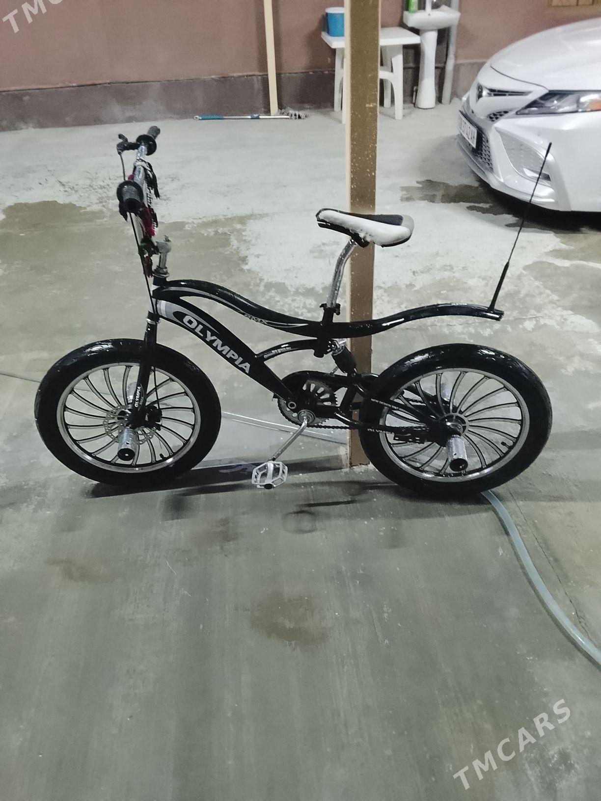 tigir - Бахарден - img 2