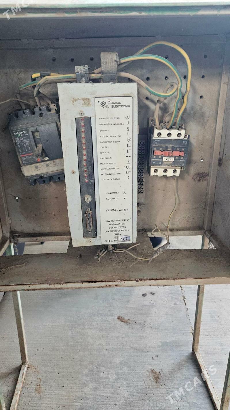 Teska - Ak bugdaý etraby - img 1